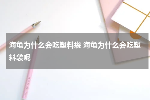 海龟为什么会吃塑料袋 海龟为什么会吃塑料袋呢