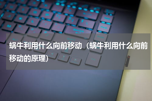 蜗牛利用什么向前移动（蜗牛利用什么向前移动的原理）