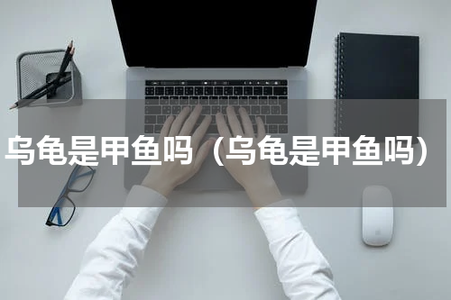 乌龟是甲鱼吗（乌龟是甲鱼吗）