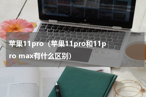 苹果11pro（苹果11pro和11pro max有什么区别）