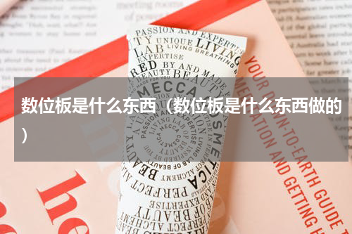 数位板是什么东西（数位板是什么东西做的）