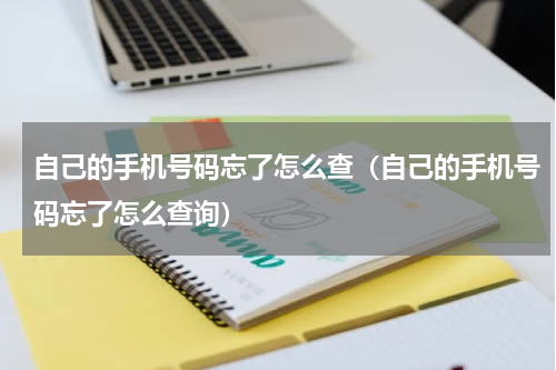 自己的手机号码忘了怎么查（自己的手机号码忘了怎么查询）