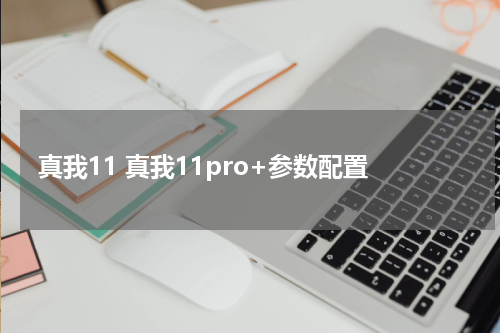 真我11 真我11pro+参数配置