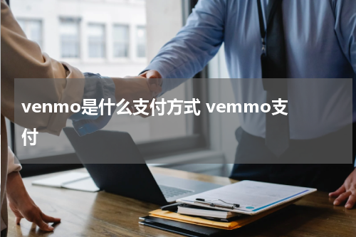 venmo是什么支付方式 vemmo支付