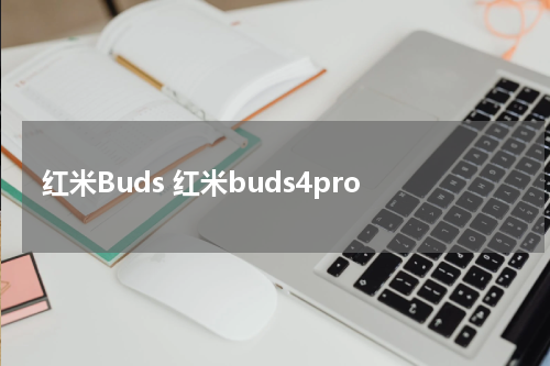 红米Buds 红米buds4pro