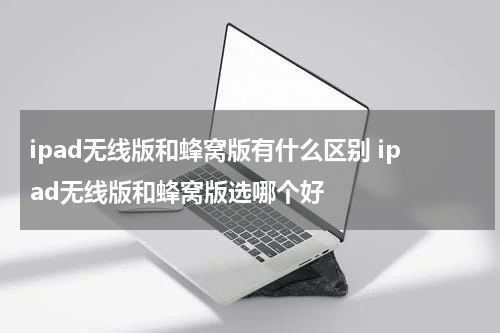 ipad无线版和蜂窝版有什么区别 ipad无线版和蜂窝版选哪个好