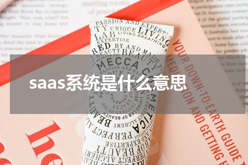 saas系统是什么意思