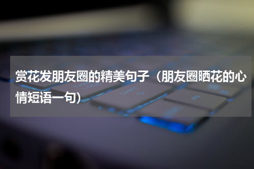赏花发朋友圈的精美句子（朋友圈晒花的心情短语一句）