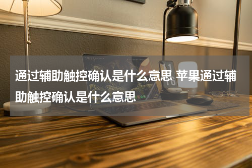 通过辅助触控确认是什么意思 苹果通过辅助触控确认是什么意思