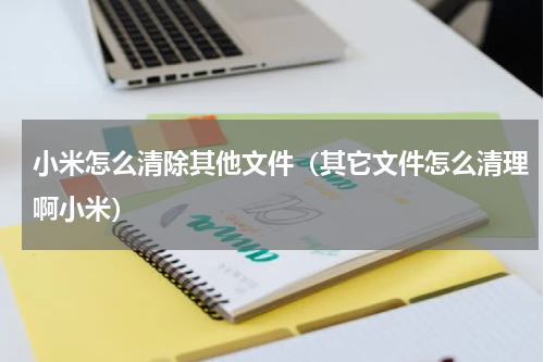 小米怎么清除其他文件（其它文件怎么清理啊小米）