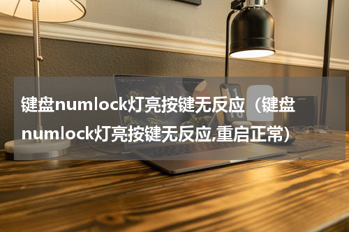 键盘numlock灯亮按键无反应（键盘numlock灯亮按键无反应,重启正常）