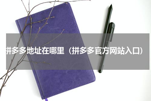 拼多多地址在哪里（拼多多官方网站入口）