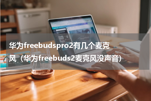 华为freebudspro2有几个麦克风（华为freebuds2麦克风没声音）