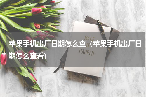 苹果手机出厂日期怎么查（苹果手机出厂日期怎么查看）