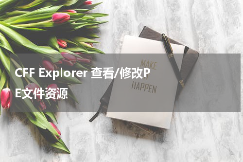 CFF Explorer 查看/修改PE文件资源