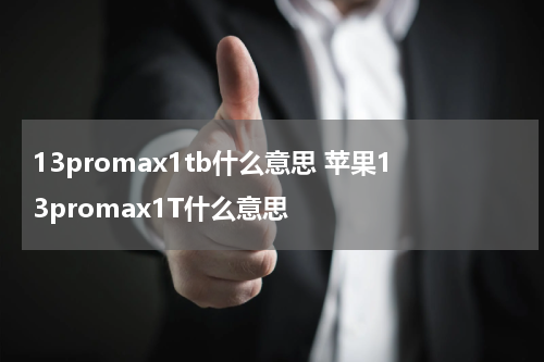 13promax1tb什么意思 苹果13promax1T什么意思