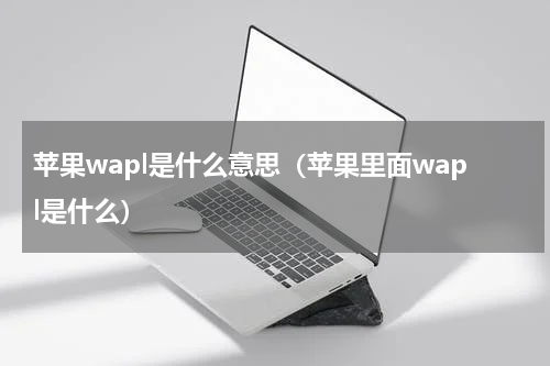 苹果wapl是什么意思（苹果里面wapl是什么）