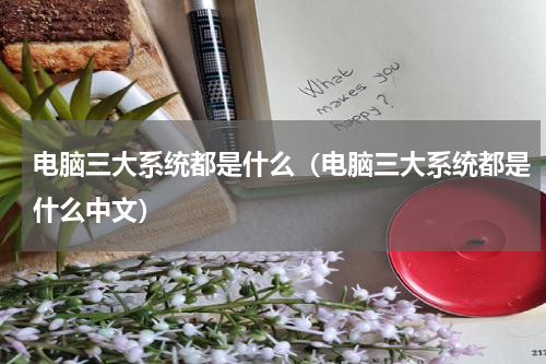 电脑三大系统都是什么（电脑三大系统都是什么中文）
