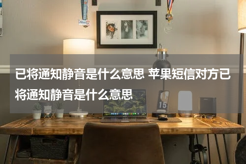 已将通知静音是什么意思 苹果短信对方已将通知静音是什么意思