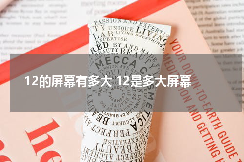 12的屏幕有多大 12是多大屏幕