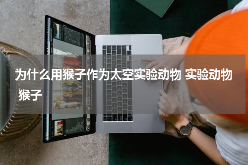 为什么用猴子作为太空实验动物 实验动物 猴子