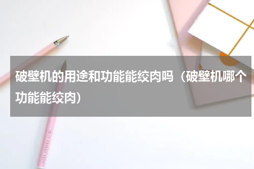 破壁机的用途和功能能绞肉吗（破壁机哪个功能能绞肉）