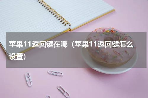 苹果11返回键在哪（苹果11返回键怎么设置）
