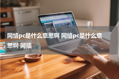 网络pc是什么意思啊 网络pc是什么意思啊 网插
