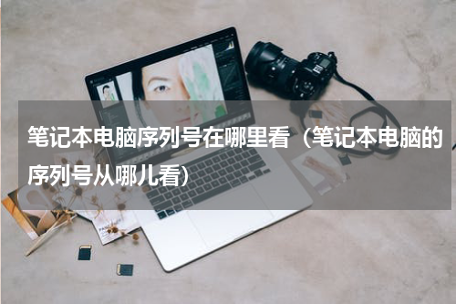 笔记本电脑序列号在哪里看（笔记本电脑的序列号从哪儿看）