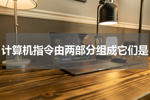 计算机指令由两部分组成它们是