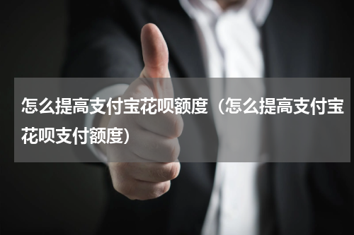 怎么提高支付宝花呗额度（怎么提高支付宝花呗支付额度）