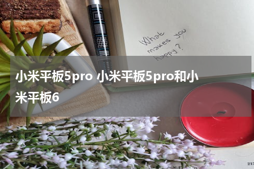 小米平板5pro 小米平板5pro和小米平板6