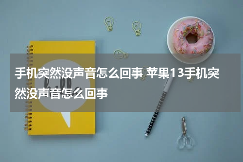 手机突然没声音怎么回事 苹果13手机突然没声音怎么回事