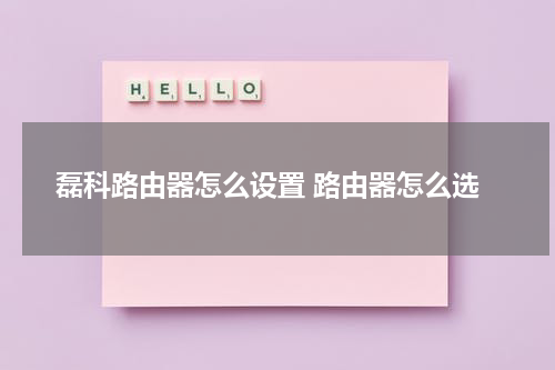 磊科路由器怎么设置 路由器怎么选