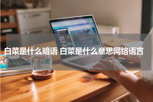 白菜是什么暗语 白菜是什么意思网络语言