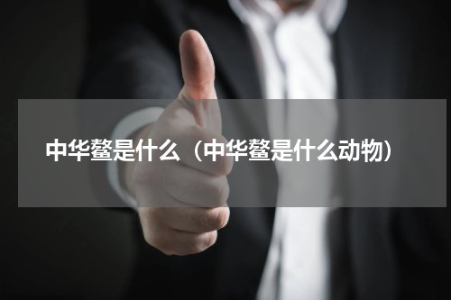 中华鳌是什么（中华鳌是什么动物）