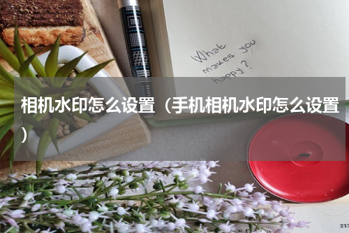 相机水印怎么设置（手机相机水印怎么设置）
