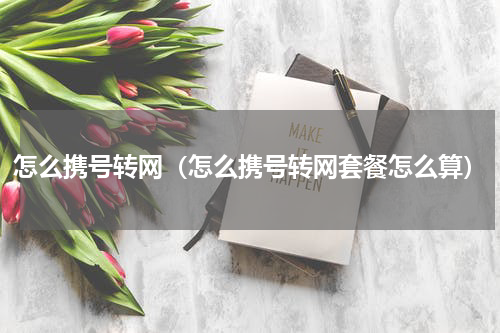 怎么携号转网（怎么携号转网套餐怎么算）