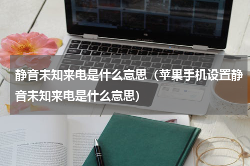 静音未知来电是什么意思（苹果手机设置静音未知来电是什么意思）