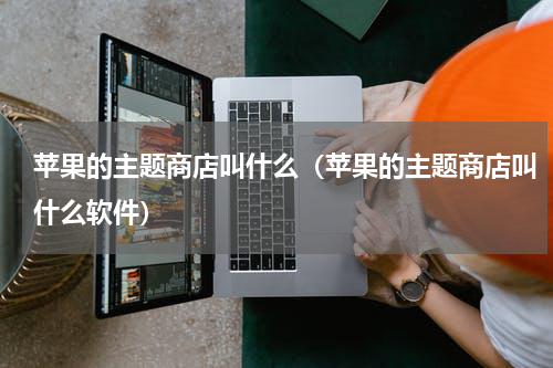 苹果的主题商店叫什么（苹果的主题商店叫什么软件）