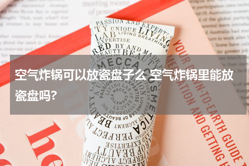 空气炸锅可以放瓷盘子么 空气炸锅里能放瓷盘吗?