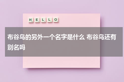 布谷鸟的另外一个名字是什么 布谷鸟还有别名吗