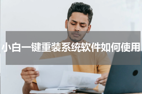 小白一键重装系统软件如何使用