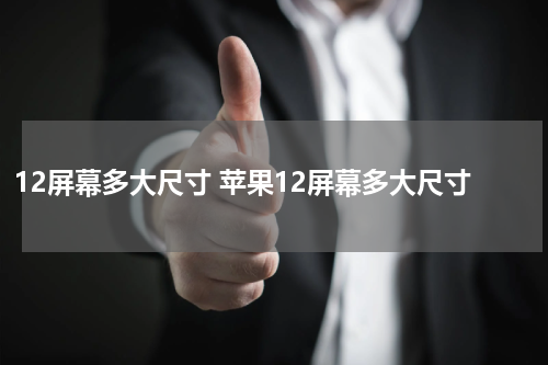 12屏幕多大尺寸 苹果12屏幕多大尺寸
