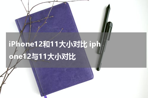 iPhone12和11大小对比 iphone12与11大小对比