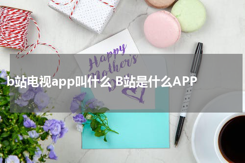b站电视app叫什么 B站是什么APP