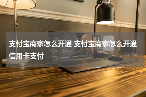 支付宝商家怎么开通 支付宝商家怎么开通信用卡支付