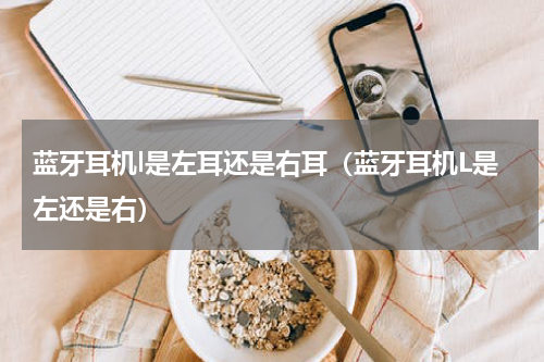 蓝牙耳机l是左耳还是右耳（蓝牙耳机L是左还是右）