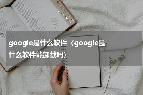 google是什么软件（google是什么软件能卸载吗）
