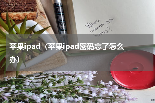 苹果ipad（苹果ipad密码忘了怎么办）